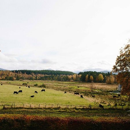 Appartamento The Dell Of Abernethy - A Woodland Hideaway Nethy Bridge Esterno foto