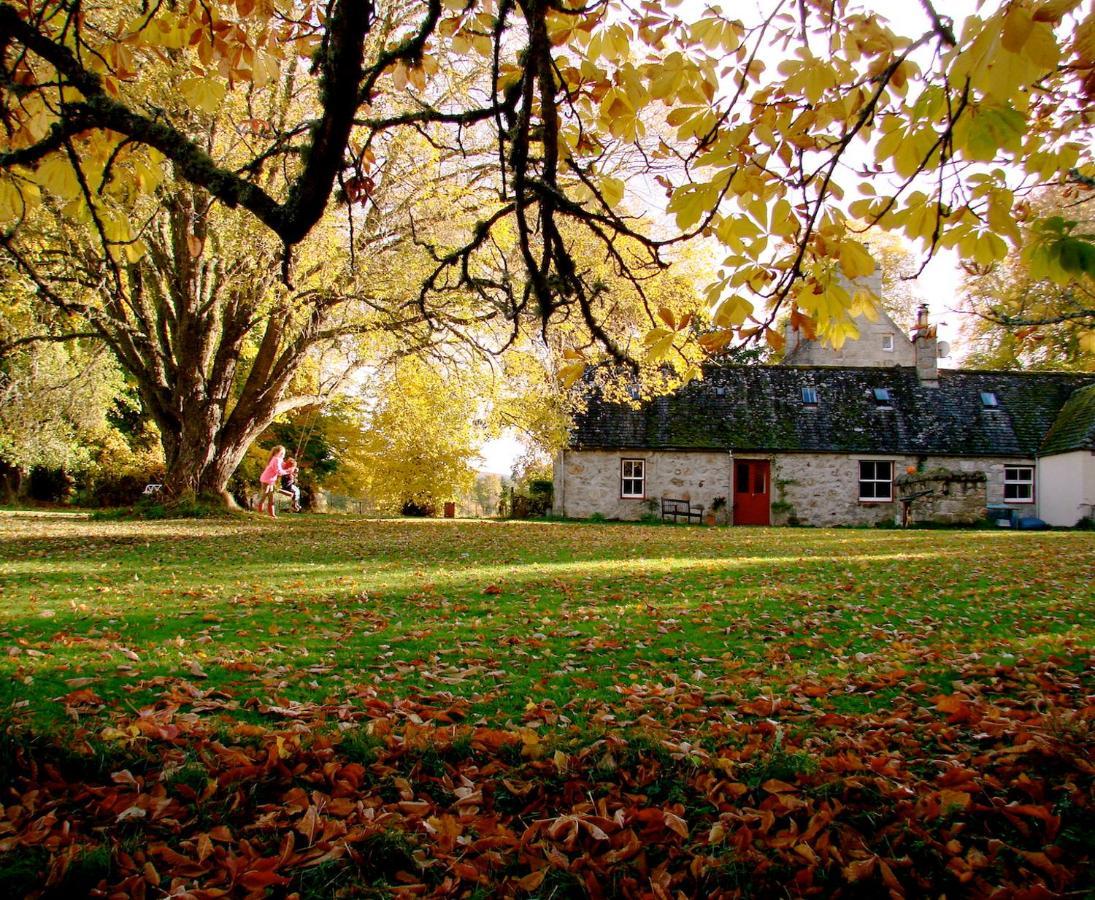 Appartamento The Dell Of Abernethy - A Woodland Hideaway Nethy Bridge Esterno foto