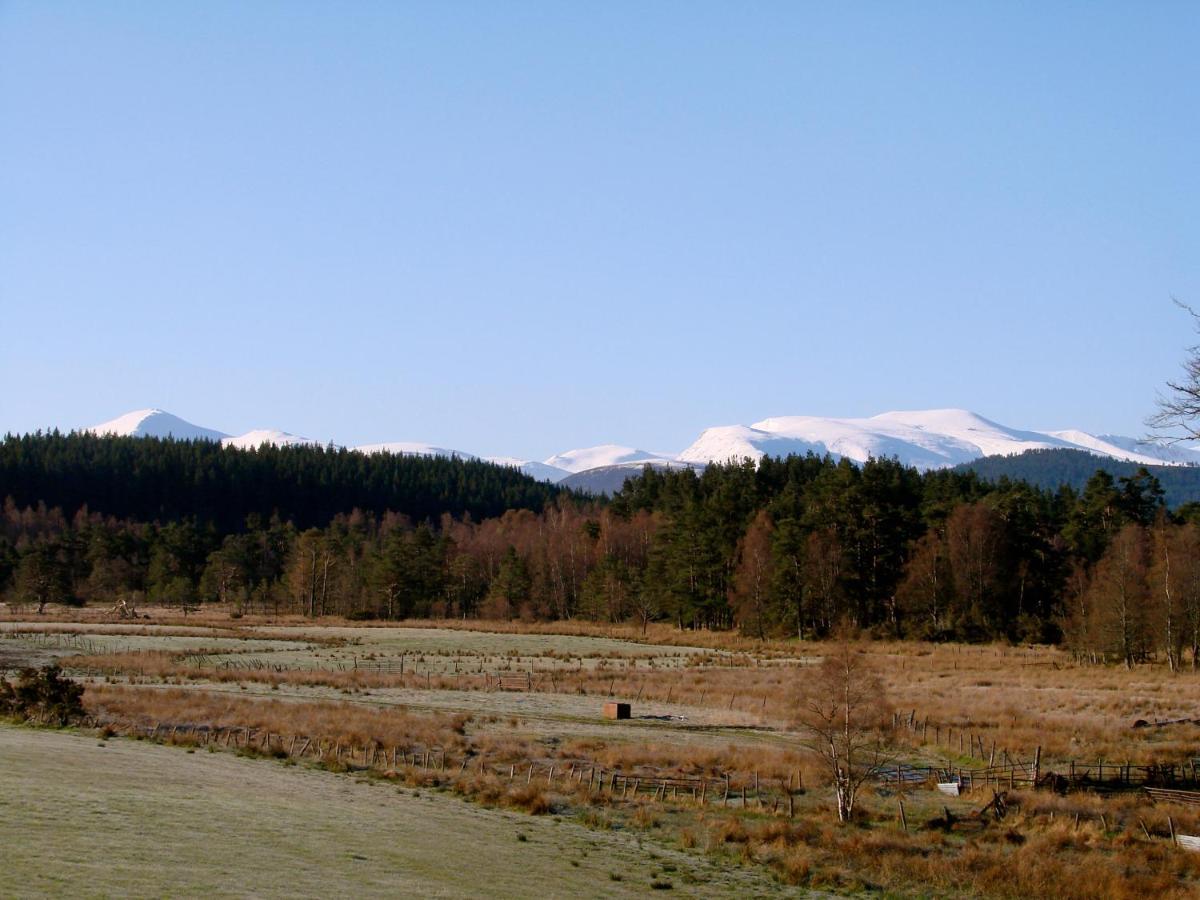 Appartamento The Dell Of Abernethy - A Woodland Hideaway Nethy Bridge Esterno foto