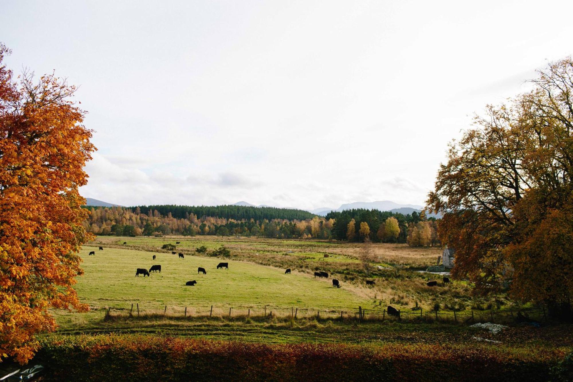 Appartamento The Dell Of Abernethy - A Woodland Hideaway Nethy Bridge Esterno foto